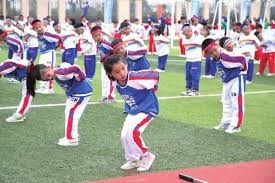 《宝可梦传说：Z-A》Mega路卡利欧Z登场